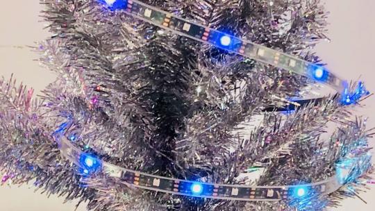 Tree with TikTok lights