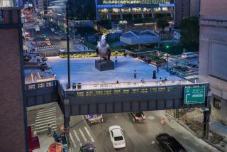 giant pigeon on high line